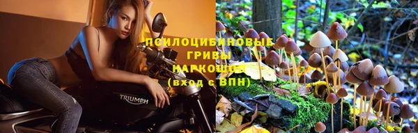 гидра Абинск