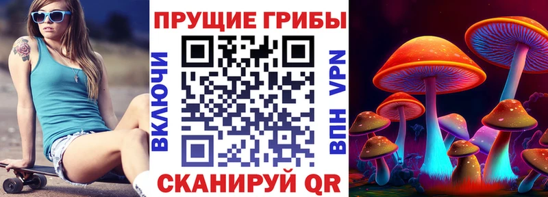даркнет сайт  Калач  Галлюциногенные грибы Magic Shrooms 